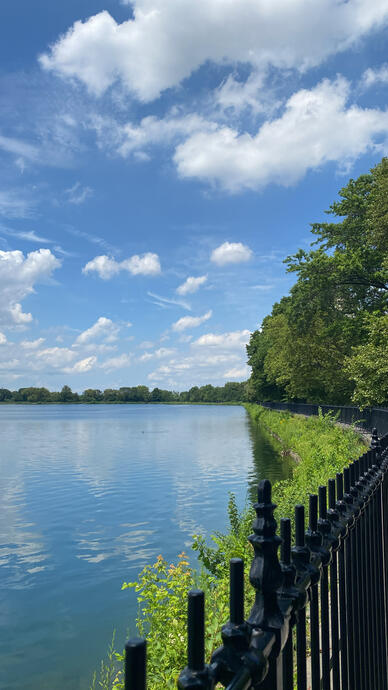 Central Park, NY