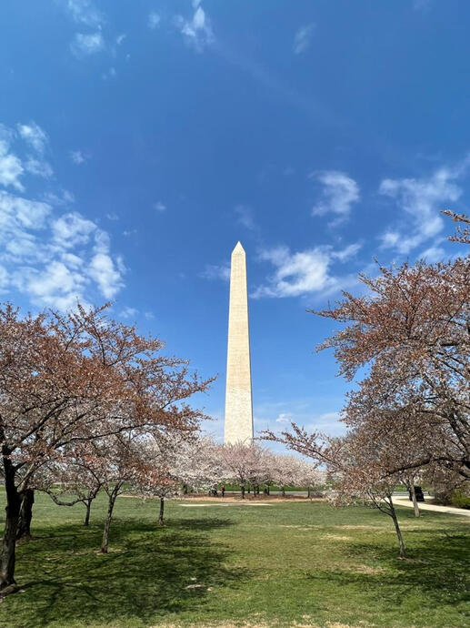 Washington Monument, D.C